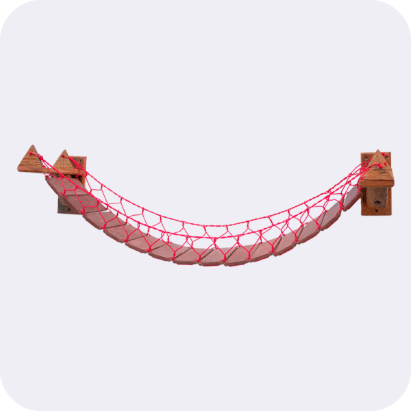 Ponte Trançada